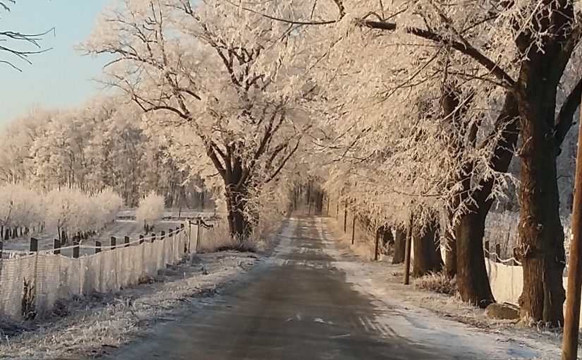 KENKOKAN – Zum Winterausklang