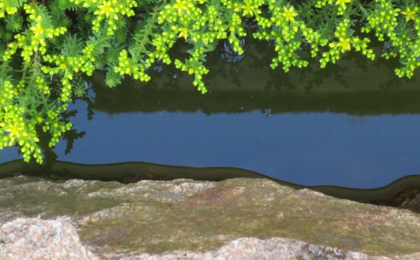 KENKOKAN – Im Juni